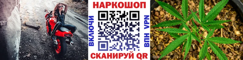 Конопля Шацк